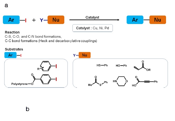 그림 6. HTS of transition metal-catalyzed coupling reactions using PBCIS.