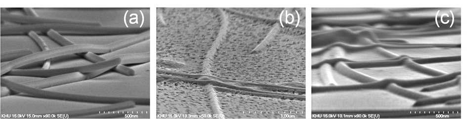 (a) AgNW; (b) AgNW/ZnO; (c) AgNW/AZO composite film의 SEM images.