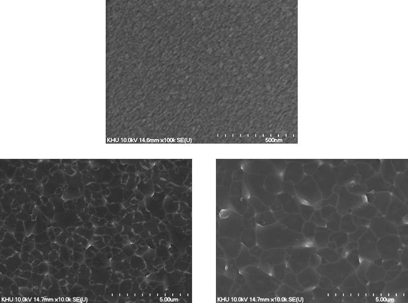 flash lamp에 의해 결정화된 300 Ả, 500 Ả, 1000 Ả 두께의 n+ poly-Si의 SEM images.