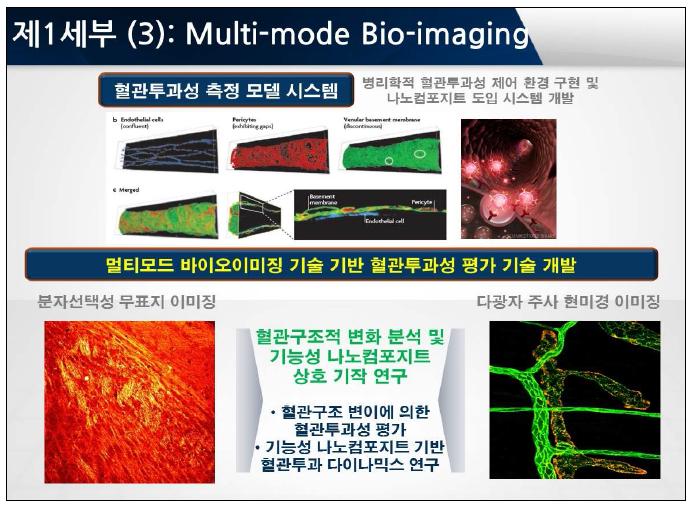 멀티모드 바이오 이미징 기반 혈관 투과성 측정 모델 및 평가 기술 개발