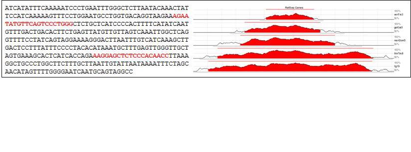 Fig. 4. Identification of two cis -regulatory elements essential for SBE4 enhancer activity. BE4 enhancer is conserved among vertebrate species. Deletion of either cis -regulatory elements resulted in reduction of SBE4 enhancer activity in embryonic and adult brains.