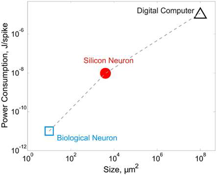 Biological neuron vs. silicon neuron vs. digital computer