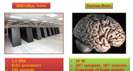 IBM 사의 Blue gen 수퍼컴퓨터와 인간의 두뇌 비교