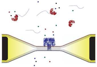 Oxford Nanopore Technologies가 개발 중인 exonuclease를 이용한 ss-DNA 분석 연구
