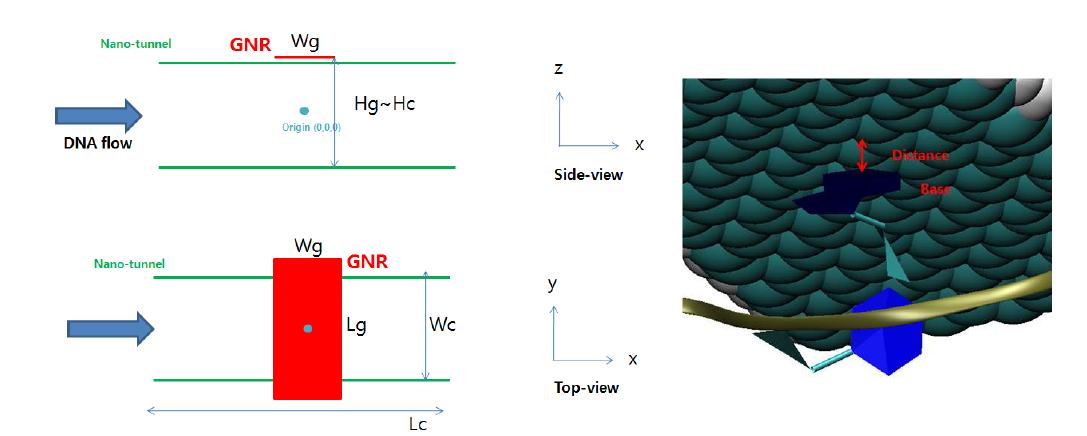 (왼쪽) 초록색 두 실선은 나노 channel/tunnel 을 나타내고 있으며 빨강색은 GNR 이다. 고려 할 수 있는 변수로 Wg (width of graphene), Lg (length of graphene), Wc (width of channel), Lc (length of channel) 이다. 이외에도 DNA flow 를 조절하는 전기장의 세기가 중요하다. (오른쪽) 염기 base 링과 GNR 사이의 π-π 상호작용으로 안정화 되었을 때 고려할 변수는 두 면 사이의 거리 (distance) 와 두면이 이루는 틸팅 각도 (θ) 이다. 최적의 구조로 부터 전류의 세기는 양자계산으로 통해 구한다.