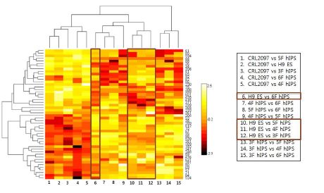 그림 10: heatmap 분석을 통한 다양한 역분화줄기세포들의 배아줄기세포와의 유사성 및 차이점 분석 결과