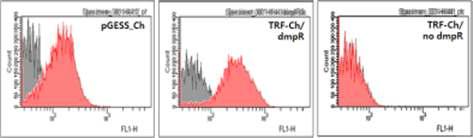 TRF-Ch의 FACS 분석결과. 회색으로 표시된 영역은 기질을 넣지 않은 경우, 빨간색으로 표시된 영역이 기질인 페놀을 100μM로 첨가해 준 것임.