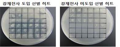 메타게놈 라이브러리에서 선별한 리파아제 히트들의 활성을 TBN 고체배지에서 확인한 결과.