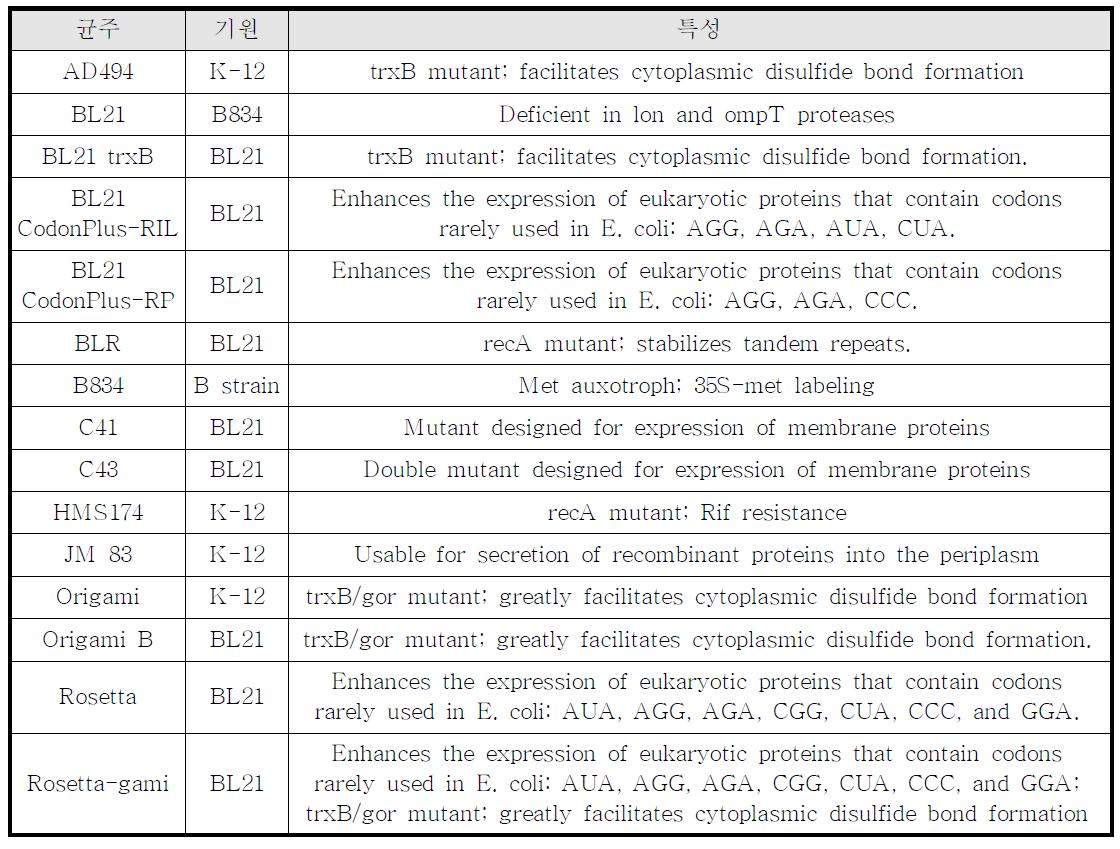 재조합 단백질 발현용 주요 대장균 균주