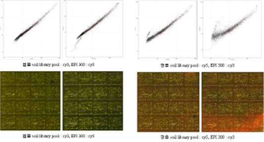 Microarray 결과 이미지와 Scatter plot.