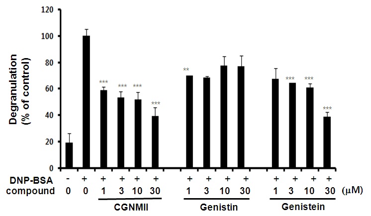 Fig. 3 항원 자극된 RBL-2H3에서 발아대두 CGNMII 의 탈과립억제 효능