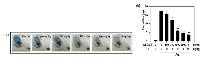 Fig. 4 PCA 동물모델에서 발아대두동충하초추출물의 항알러지 효능