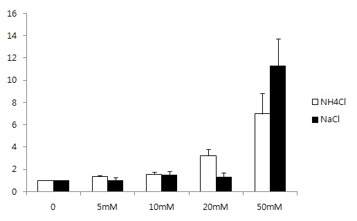 그림 3. Luciferase assay by transfection of DNA including cis-element and photinus luciferase