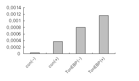 그림 5. Dual luciferase assay for 135 bp AQP4 promoter region. Con; only cells, ToEBP; transfected cells, (-/+); NH4Cl treatment.