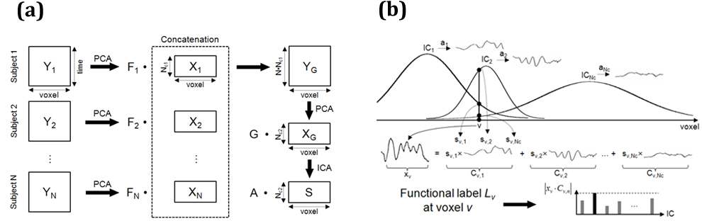 그림 41. ICA를 이용한 대뇌피질 구획화: (a) rs-fMRI 데이터에 주성분 분석(Principal Component Analysis, PCA)기법과 독립성분 분석(Independent Component Analysis, ICA)을 적용하는 과정, (b) 독립성분분석를 이용햔 대뇌 기저핵의 분할 기법에 관한 도식 : 각 voxel에서 최대 기여도를 갖는 IC를 mapping 함