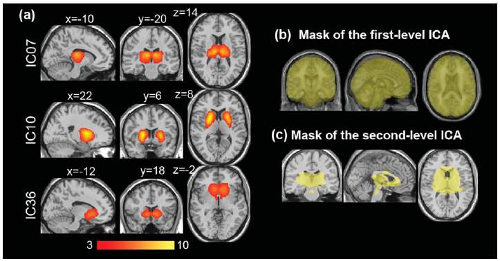 그림 42. 1차 독립성분 분석 결과로부터 획득한 기저핵(Basal ganglia) 및 시상(Thalamus) map