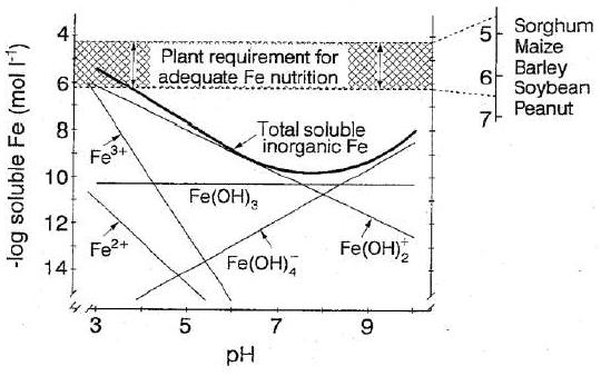pH에 따른 토양 내 철의 용해도 및 다양한 식물에서의 철 요구량