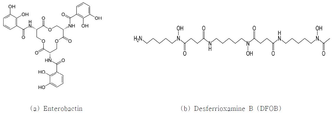 catecholate siderophore와 hydroxamate siderophore의 대표적인 예