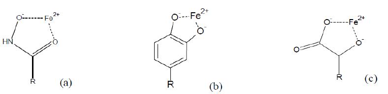 Hydroxamate(a), Catecholate(b), Hydroxy-carboxic acid(c) 형태의 사이드로포어와 철(Ⅲ)의 결합 형태