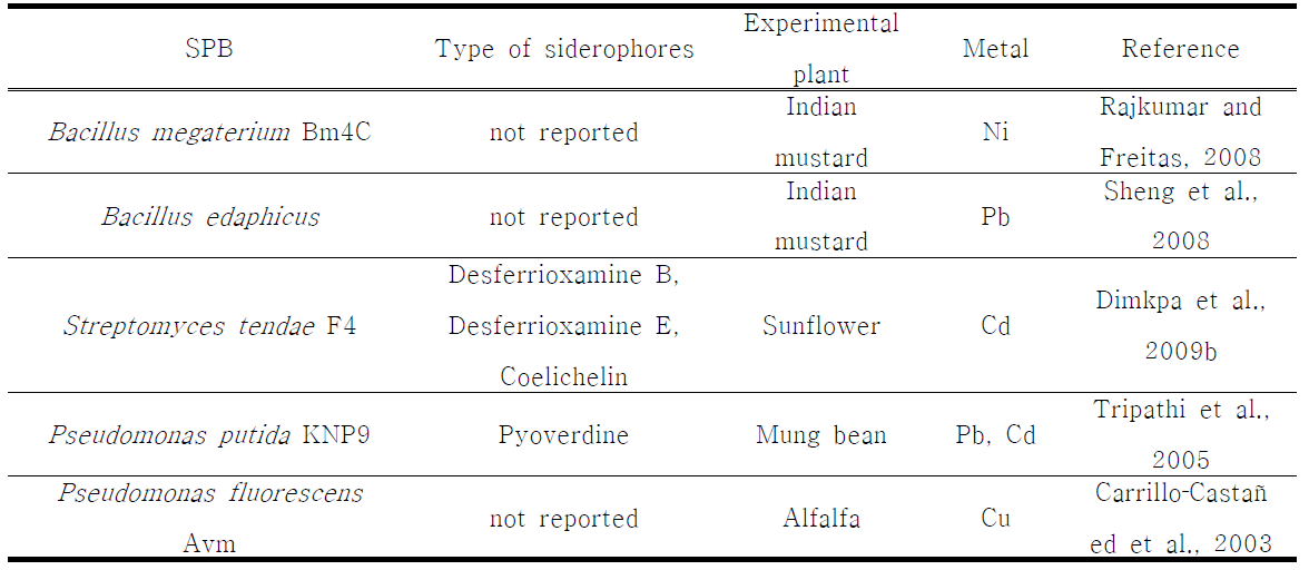 사이드로포어 분비 미생물(Siderophore-producing bacteria, SPB)의 사이드로포어 분비 특성 및 식물 정화 공법에의 적용
