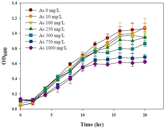 그림 11. 비소의 농도에 따른 Pseudomonas aeruginosa의 철 결핍 배지인 succinate medium에서의 생장; Optical density(OD) 측정