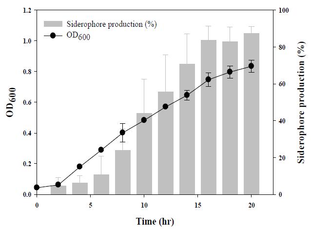 Pseudomonas aeruginosa의 시간에 따른 생장과 사이드로포어 분비와의 관계