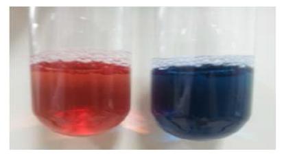 사이드로포어-비소 복합체 형성으로 인한 CAS assay solution의 색깔 변화