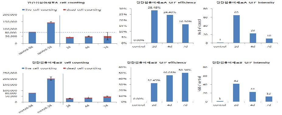 두종류의 인간 섬유아세포에서 시간이 지남에 따른 세포의 증식과 형광 발현정도를 FACS로 측정함.