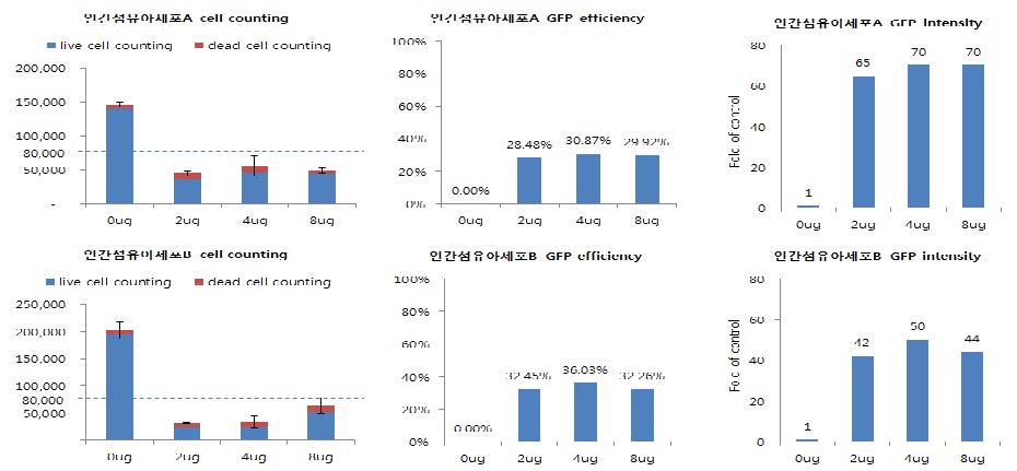 두 종류의 인간 섬유아세포에 DNA양이 증가함에 따라 세포독성과 유전자 도입효율이 변화하는지 FACS로 분석함.