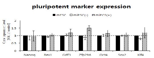 특정 pathway inhibitor를 처리한 조건에서 mouse 유도만능 줄기세포의 pluripotency 유전자 발현이 증가함을 확인함.