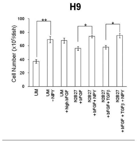 서로 다른 배지조건에서 6일 동안 배양한 H9 세포의 성장 효율 비교 결과.