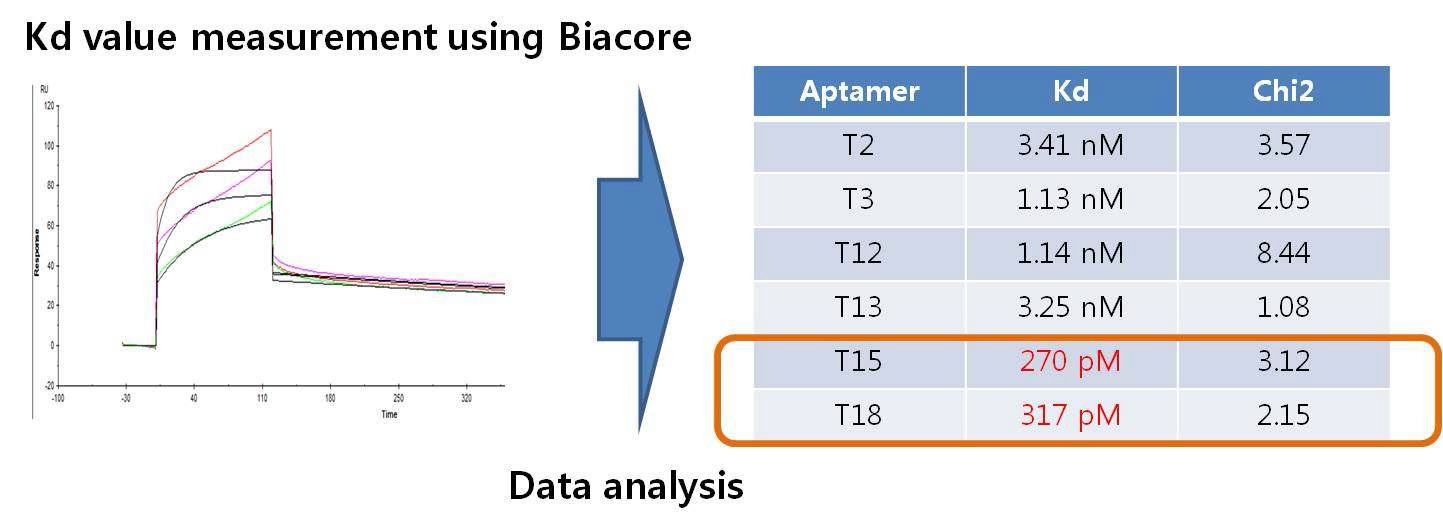 그림 8. SPR을 이용한 aptamer-Troponin I 간 결합력 측정