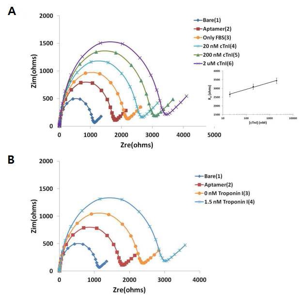 그림 13. FBS 용액에서 Troponin I의 검출(A) 및 환자샘플에서의 검출(B)