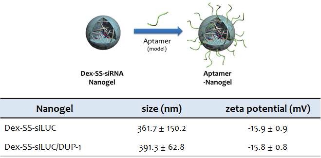 그림 33. 덱스트란-siRNA / DUP-1 나노젤의 수하 크기 및 표면 전하