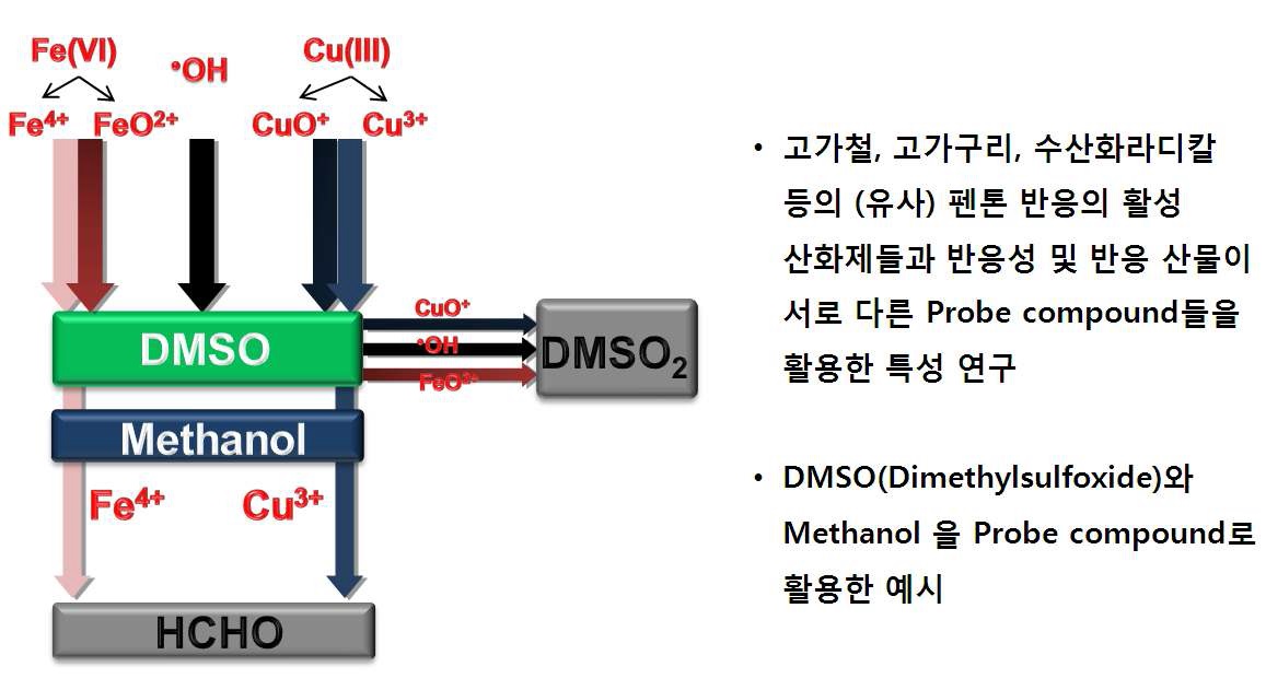 DMSO probe compound를 이용한 활성산화제의 정성방법 개념도