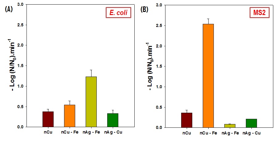 개질된 다양한 나노사이즈 메탈에 의한 대장균 (E. coil)과 MS2의 불활성화