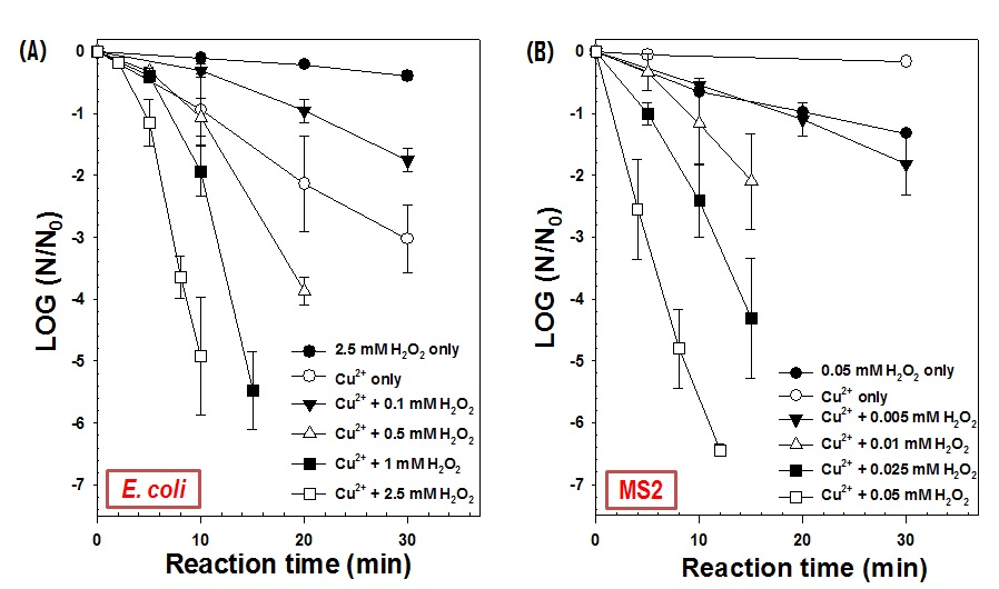 구리촉매/과산화수소 반응 (copper/H2O2)을 이용한 대장균 (E. coil)과 MS2의 불활성화,