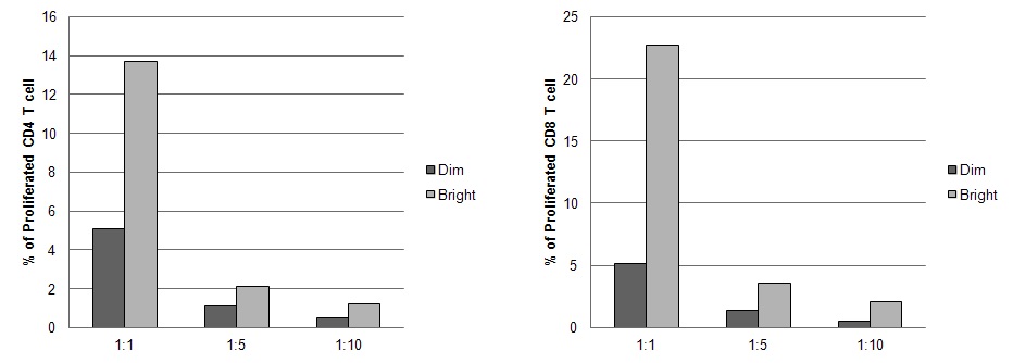 그림 10. MHC class Idim/bright 군집의 T 세포 증식억제 능력