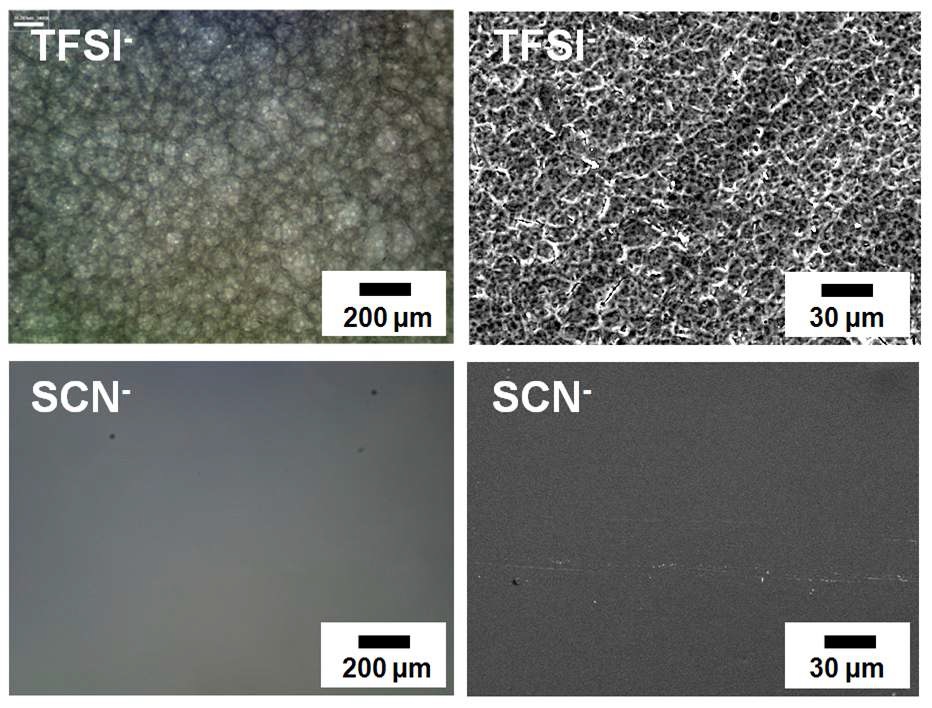 그림 19. TFSI- 와 SCN-의 이온교환에 따른 OM, SEM