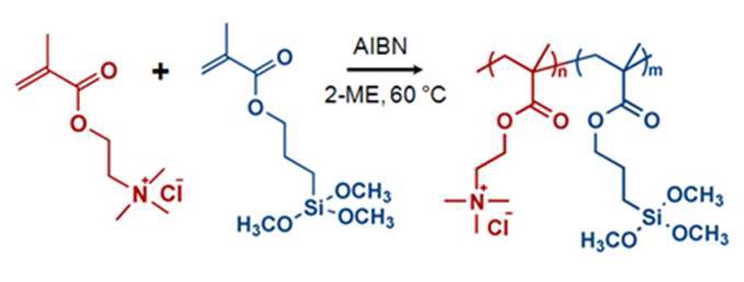 그림 6. Alkoxysilane group을 가지는 공중합 전해질 고분자 반응 메커니즘