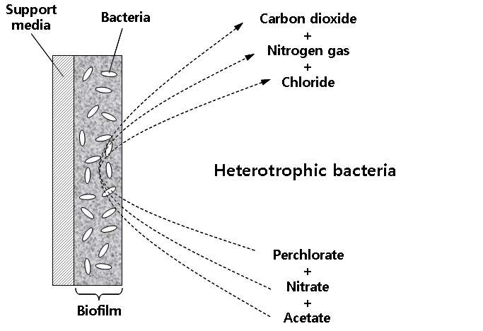 생물막(biofilm)을 통한 퍼클로레이트와 질산염 제거 메커니즘