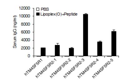 리포좀-CpG-DNA-펩타이드 복합체를 이용한 TM4SF5의 B 세포 에피톱 선별 Lipoplex(O): MB-ODN 4531(O) encapsulated in a phosphatidyl-β-oleoyl-γ-palmitoyl ethanolamine (DOPE):cholesterol hemisuccinate (CHEMS) complex.