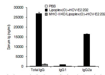 리포좀-CpG-DNA-에피톱 복합체 투여에 의한 에피톱-특이적인 항체 생산의 MHC 의존성 확인