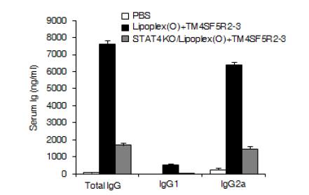 리포좀-CpG-DNA-에피톱 복합체 투여에 의한 에피톱-특이적인 항체 생산의 STAT4 의존성 확인