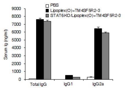 리포좀-CpG-DNA-에피톱 복합체 투여에 의한 에피톱-특이적인 항체 생산의 STAT6 비의존성 확인