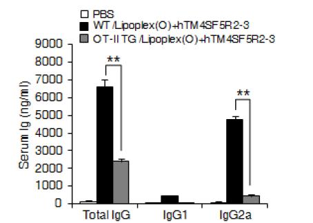 리포좀-CpG-DNA의 에피톱에 대한 면역증강제 효능 기전 규명 : TCR 의 관련성 확인
