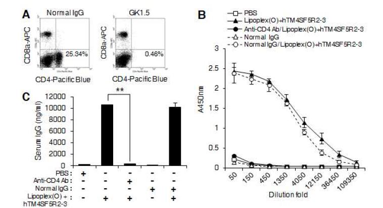 리포좀-CpG-DNA의 에피톱에 대한 면역증강제 효능 기전 규명 : CD4+ T 세포의 관련성 확인
