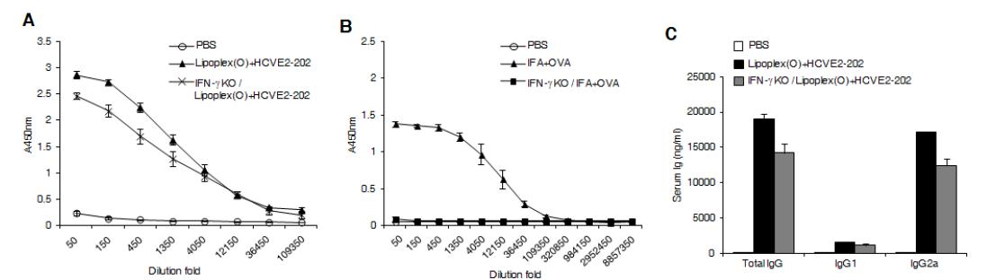 리포좀-CpG-DNA의 에피톱에 대한 면역증강제 효능 기전 규명 : IFN-γ의 관련성 확인.