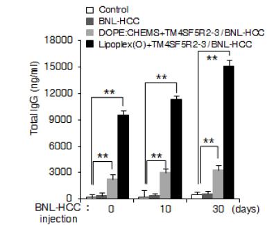 리포좀-CpG-DNA-에피톱 (TM4SF5R2-3 에피톱) 복합체 투여에 의한 항체 생산 유도 효과