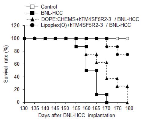 Allograft mouse model에서 백신의 기억기능 효능 측정 - 생존률 확인